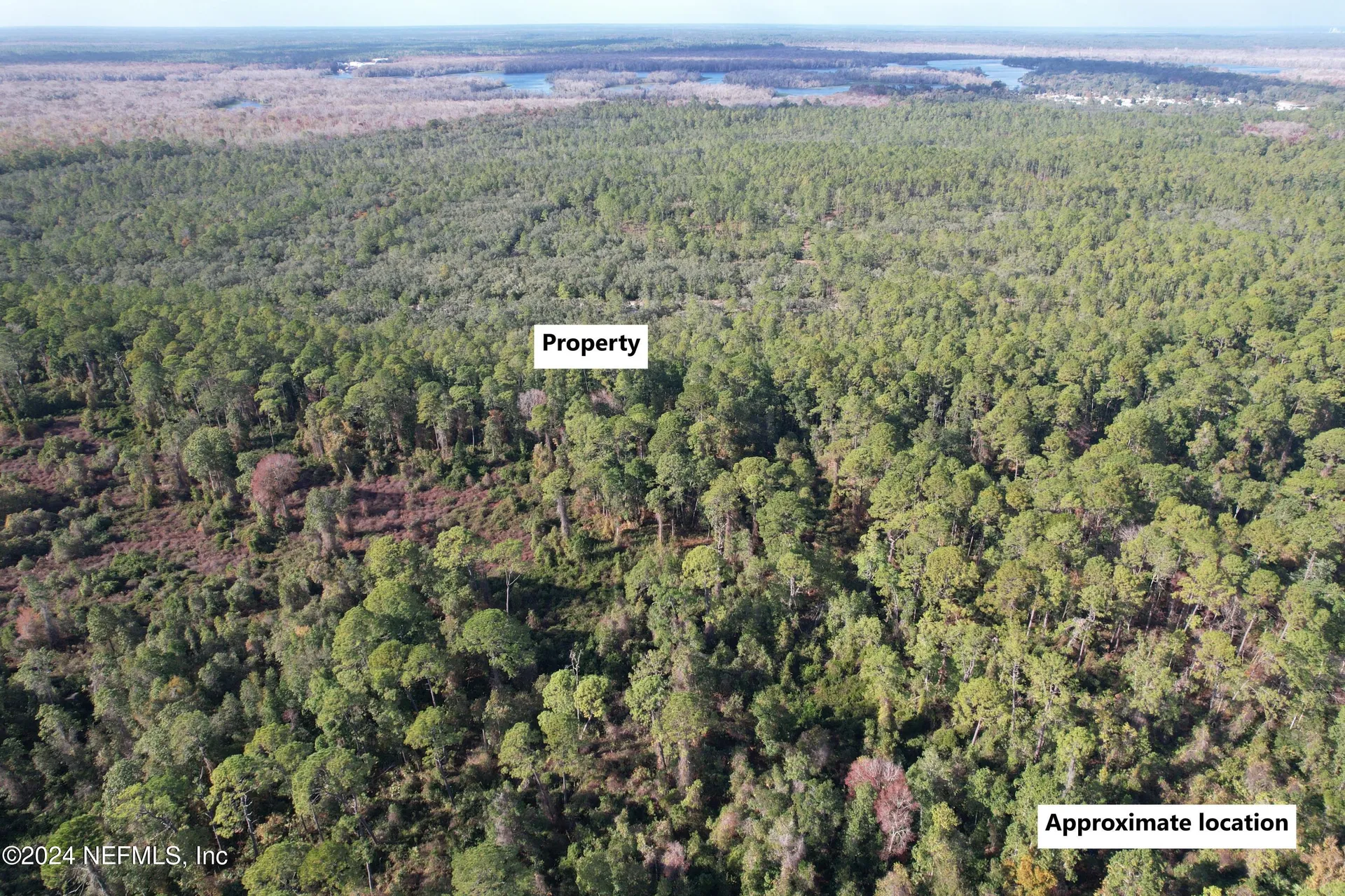 104 Frankfort Street Satsuma FL 32189