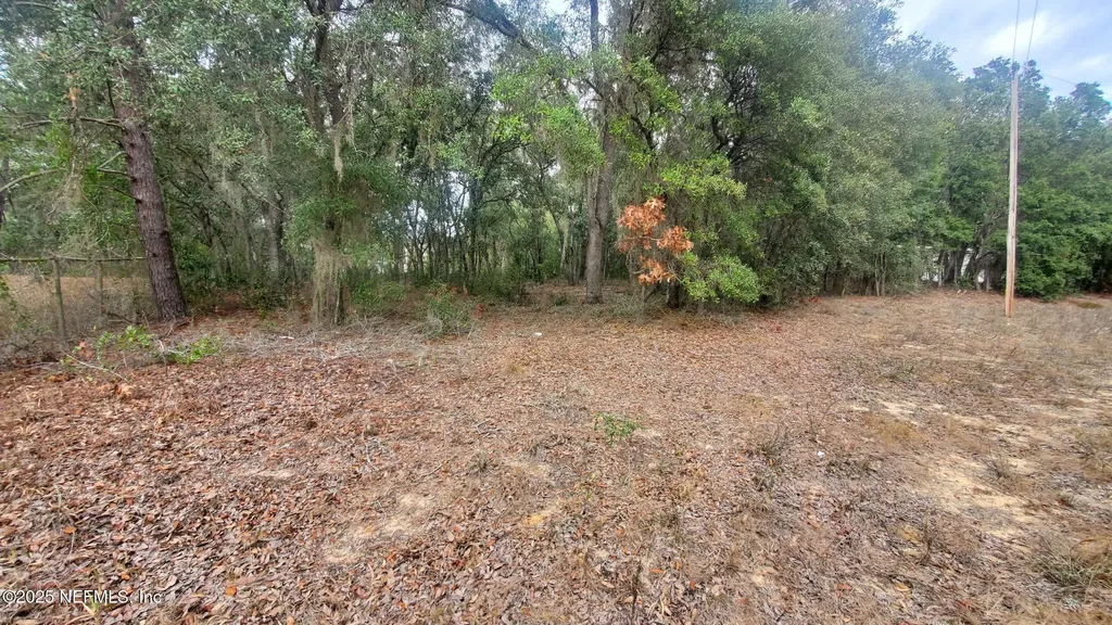 217 Lake Lucy Crescent Interlachen FL 32148
