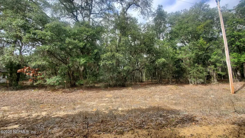 217 Lake Lucy Crescent Interlachen FL 32148