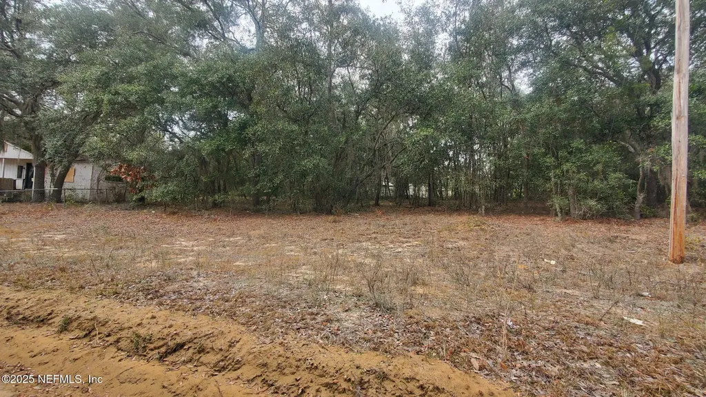 217 Lake Lucy Crescent Interlachen FL 32148