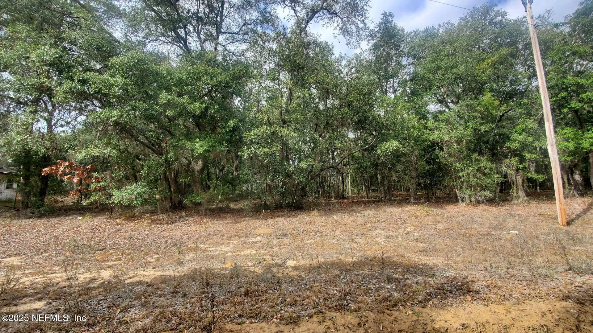 217 Lake Lucy Crescent Interlachen FL 32148