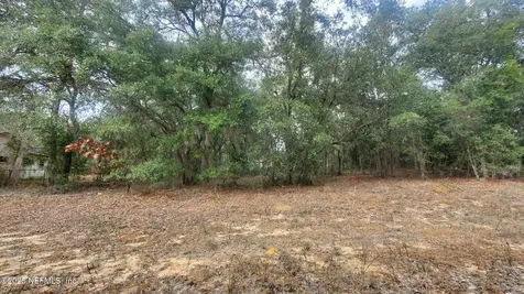 217 Lake Lucy Crescent Interlachen FL 32148