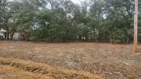 217 Lake Lucy Crescent Interlachen FL 32148