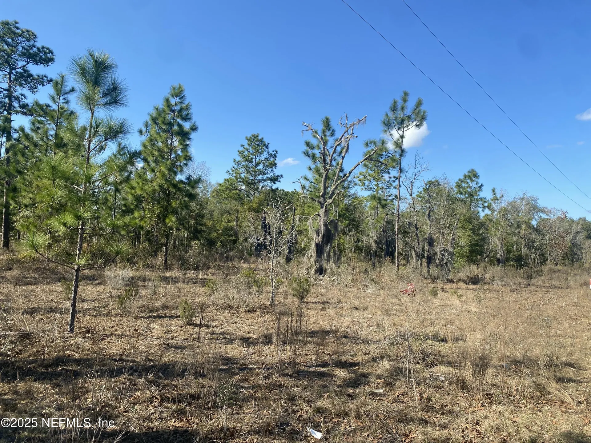 235 Michigan Drive Hawthorne FL 32640