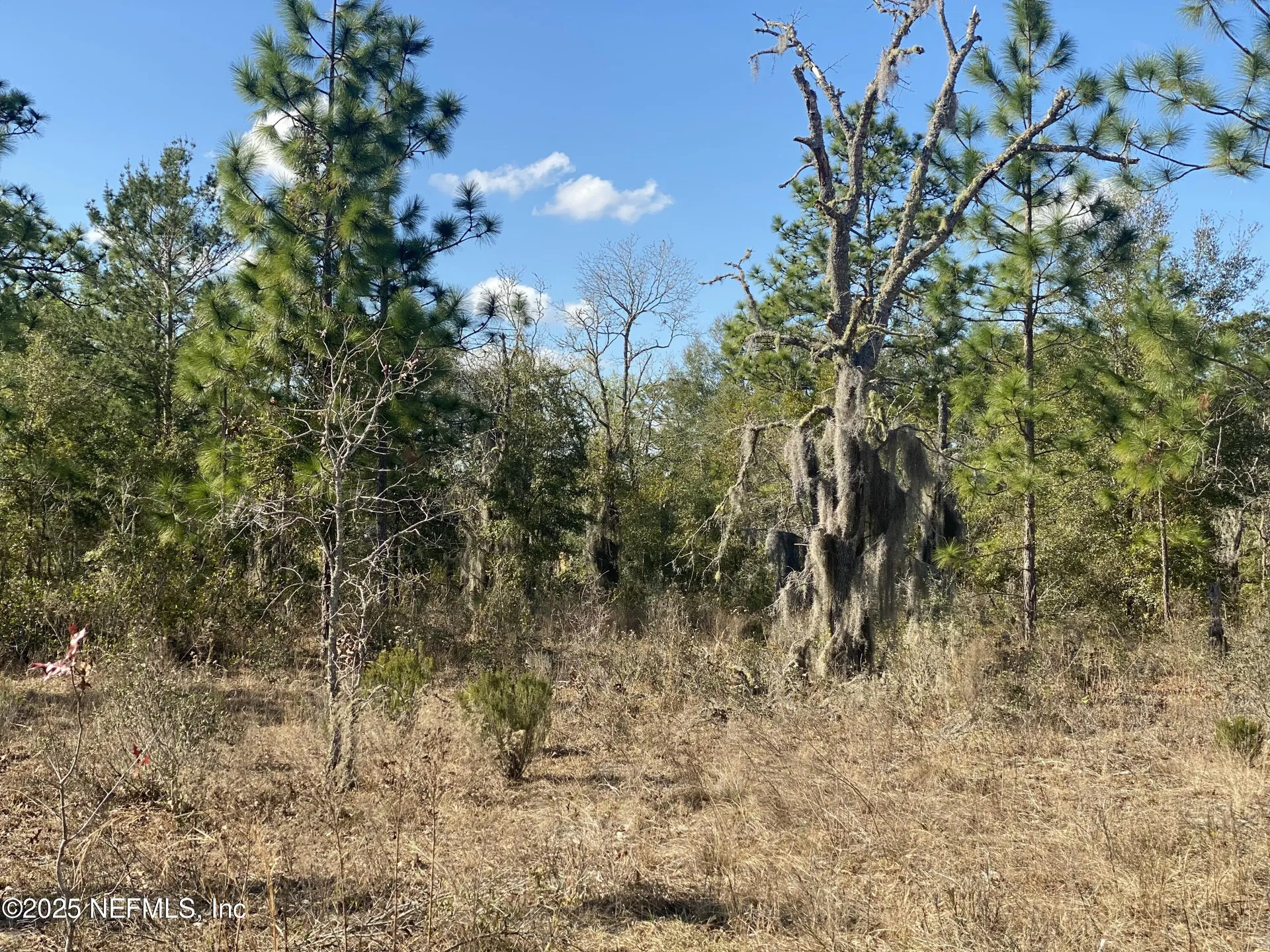 235 Michigan Drive Hawthorne FL 32640