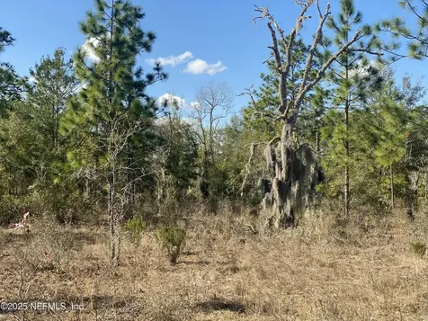 235 Michigan Drive Hawthorne FL 32640