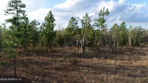 235 Michigan Drive Hawthorne FL 32640