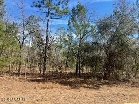 200 Melrose Landing Drive Hawthorne FL 32640