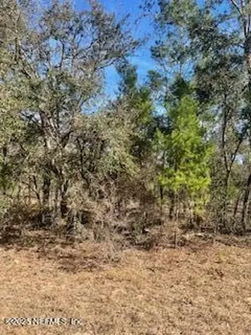 200 Melrose Landing Drive Hawthorne FL 32640