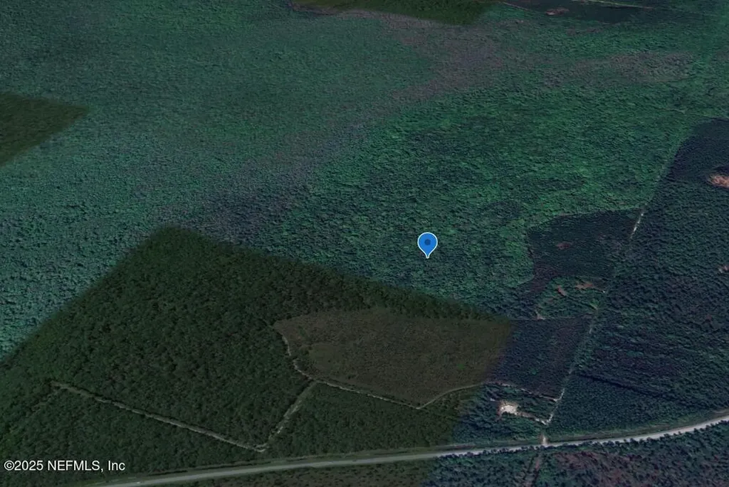 0 Goshawk Road Palatka FL 32177