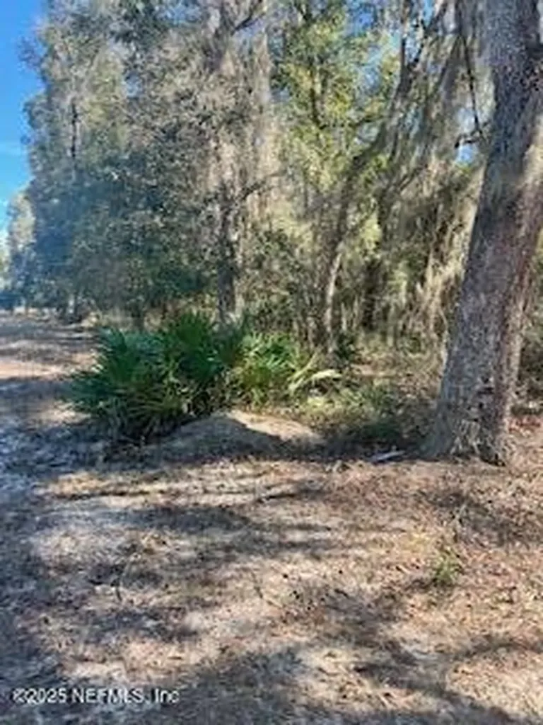 0230-0040 Indian Lakes Road Hawthorne FL 32640