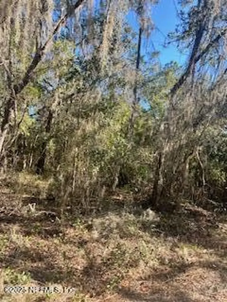 0230-0040 Indian Lakes Road Hawthorne FL 32640