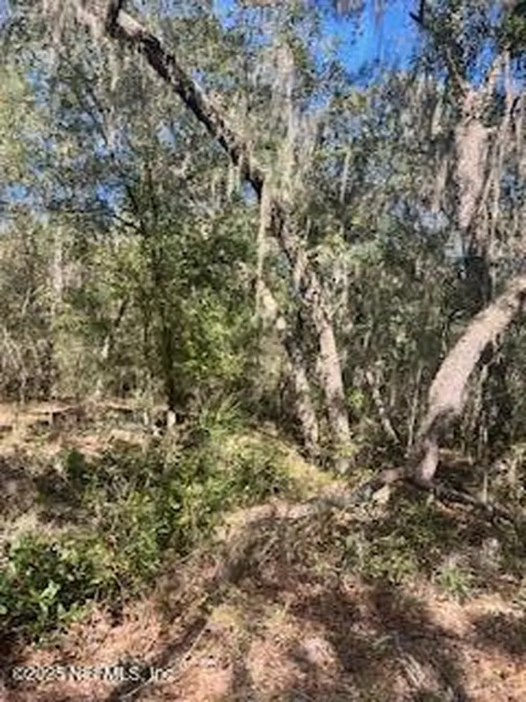 0230-0040 Indian Lakes Road Hawthorne FL 32640