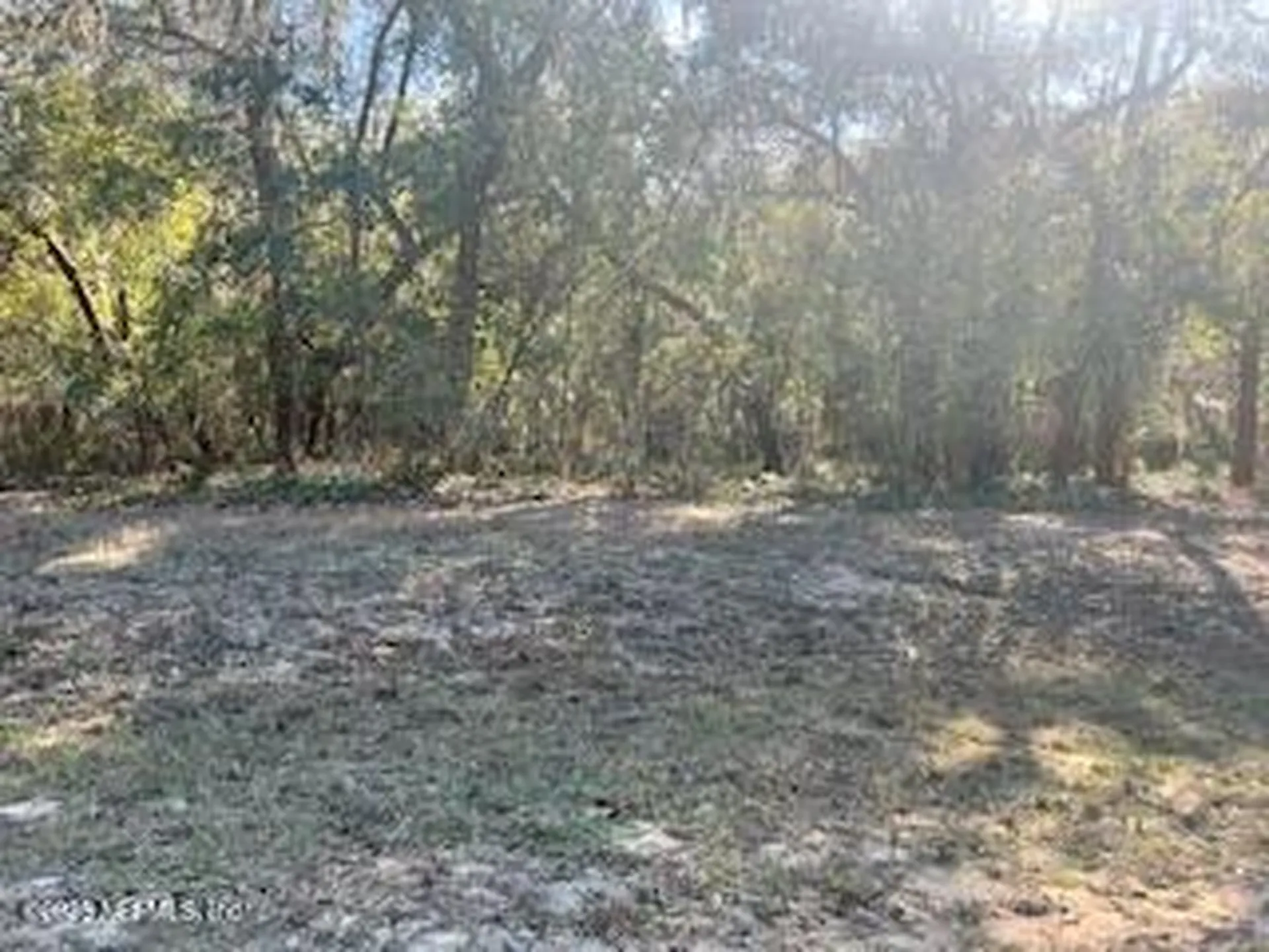 0230-0040 Indian Lakes Road Hawthorne FL 32640