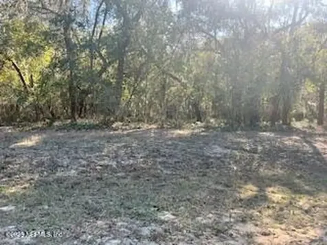 0230-0040 Indian Lakes Road Hawthorne FL 32640