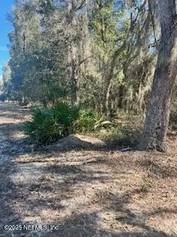0230-0040 Indian Lakes Road Hawthorne FL 32640