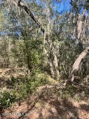 0230-0040 Indian Lakes Road Hawthorne FL 32640