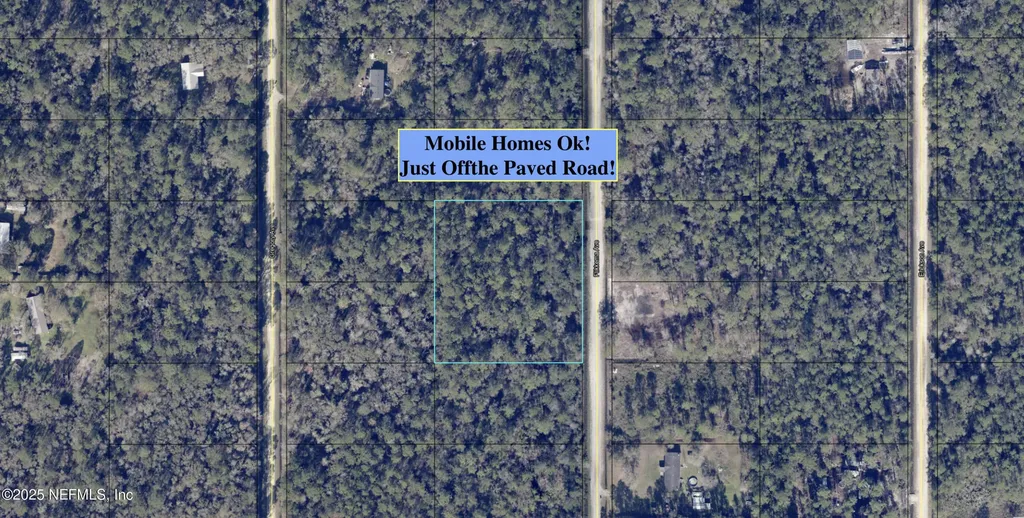 10655 Flikkema Avenue Hastings FL 32145