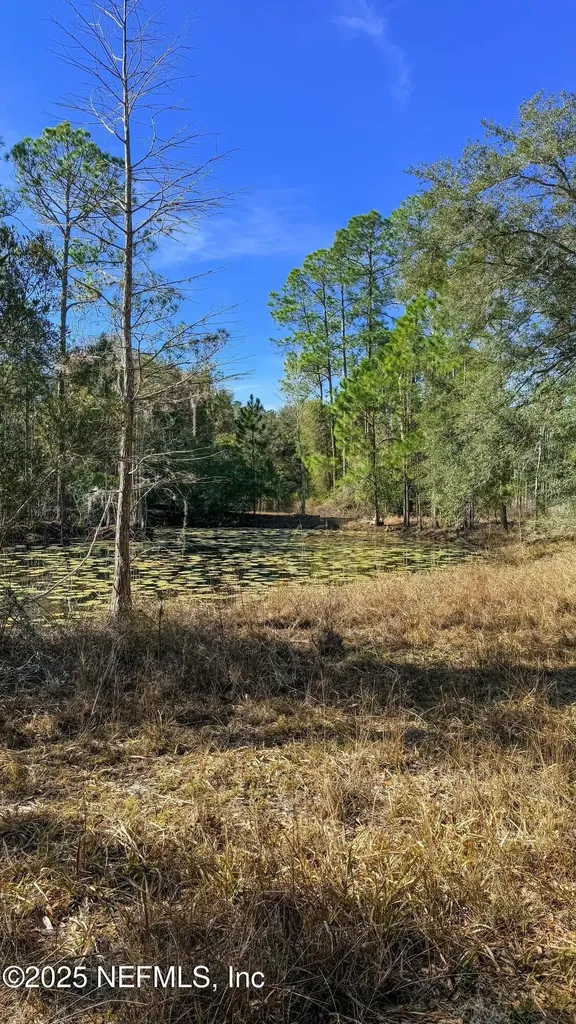 0 Carteret Road Georgetown FL 32139