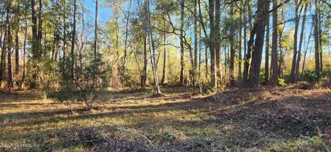 1642 Westwood Court Jacksonville FL 32234