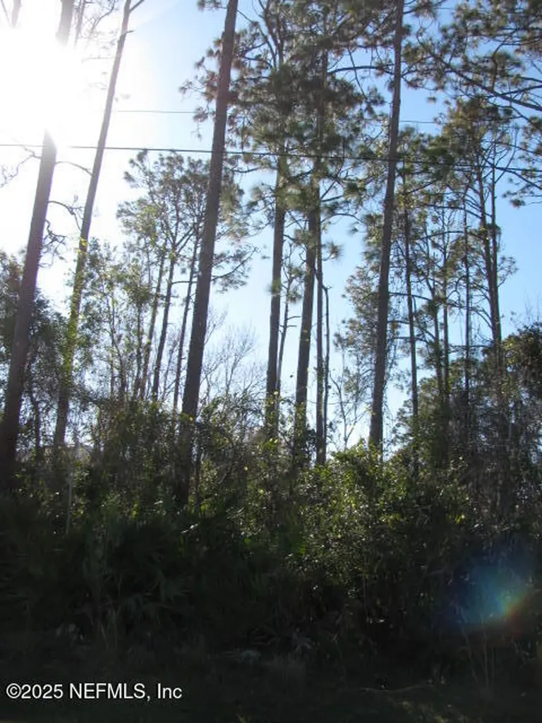 7 Zollinger Place Palm Coast FL 32164