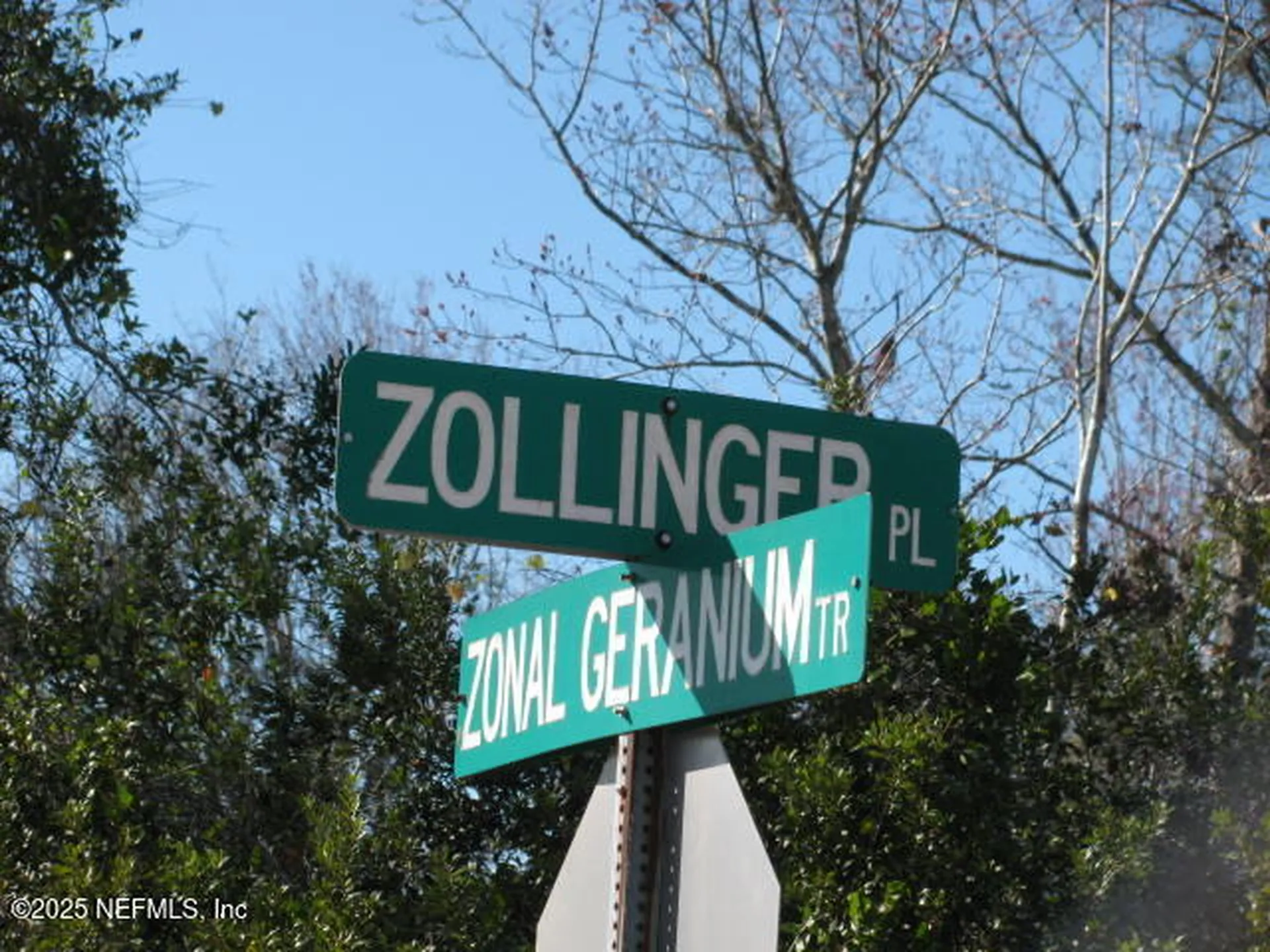 7 Zollinger Place Palm Coast FL 32164