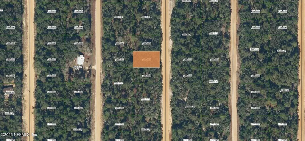 0000000 Neilsen Avenue Interlachen FL 32148