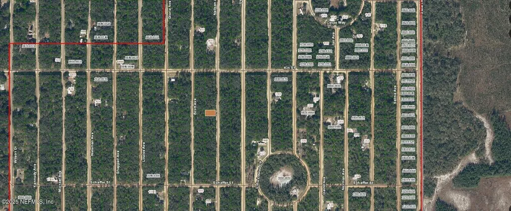 00000 Neilsen Avenue Interlachen FL 32148