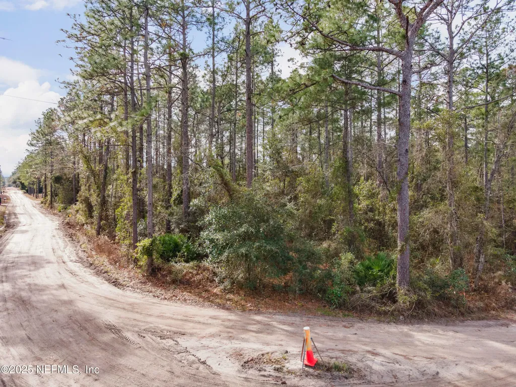 Lot 37 Franklin Road Hilliard FL 32046