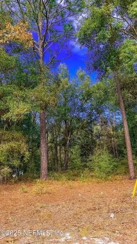 124 Lancaster Street Interlachen FL 32148