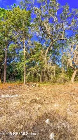 124 Lancaster Street Interlachen FL 32148