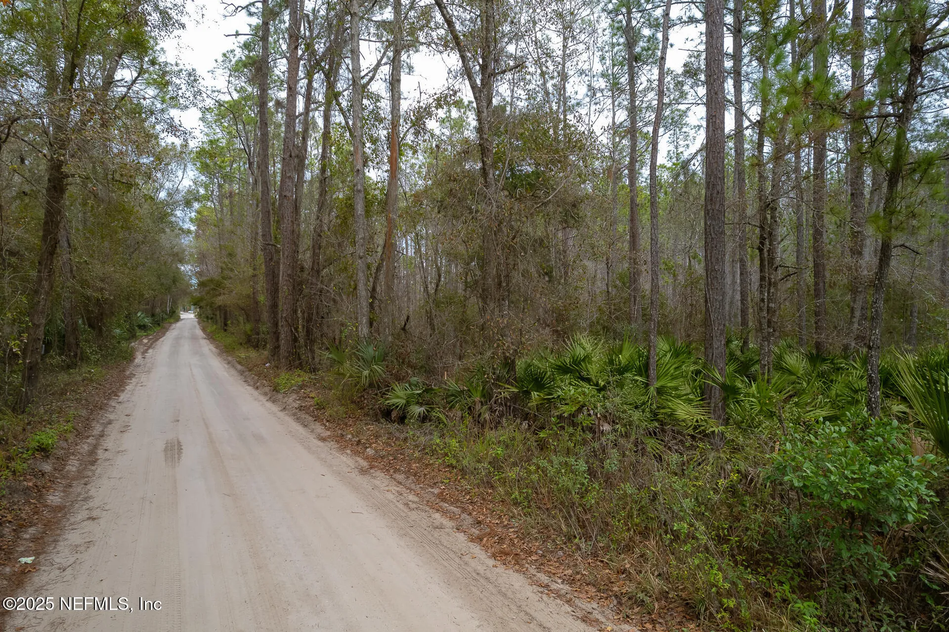 220 Chesser Road Palatka FL 32177