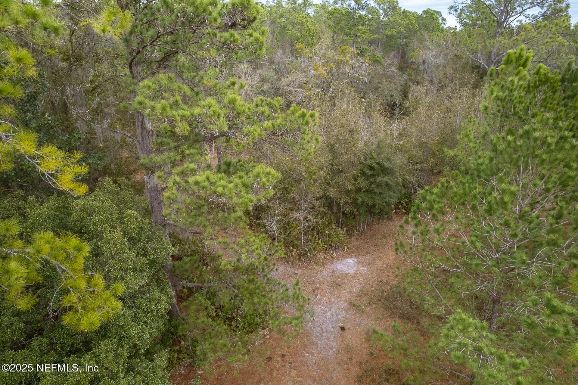 220 Chesser Road Palatka FL 32177