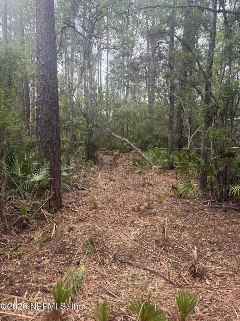0 SE 67th Place White Springs FL 32096
