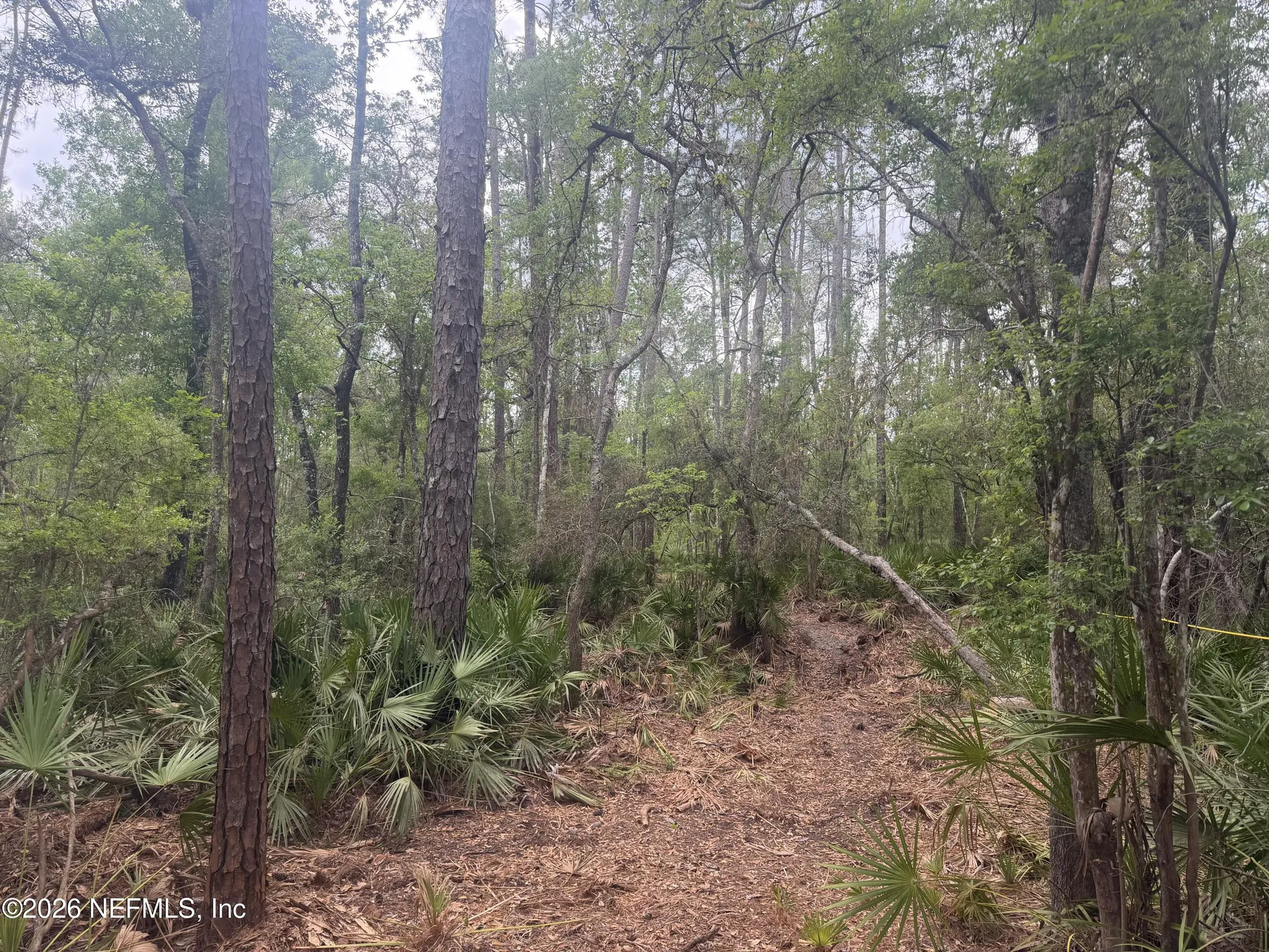 0 SE 67th Place White Springs FL 32096