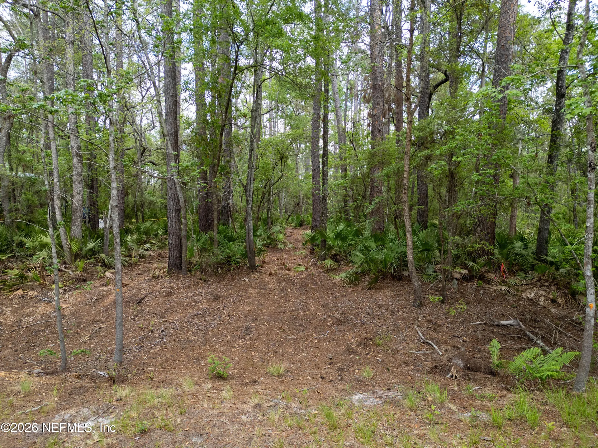 0 SE 67th Place White Springs FL 32096