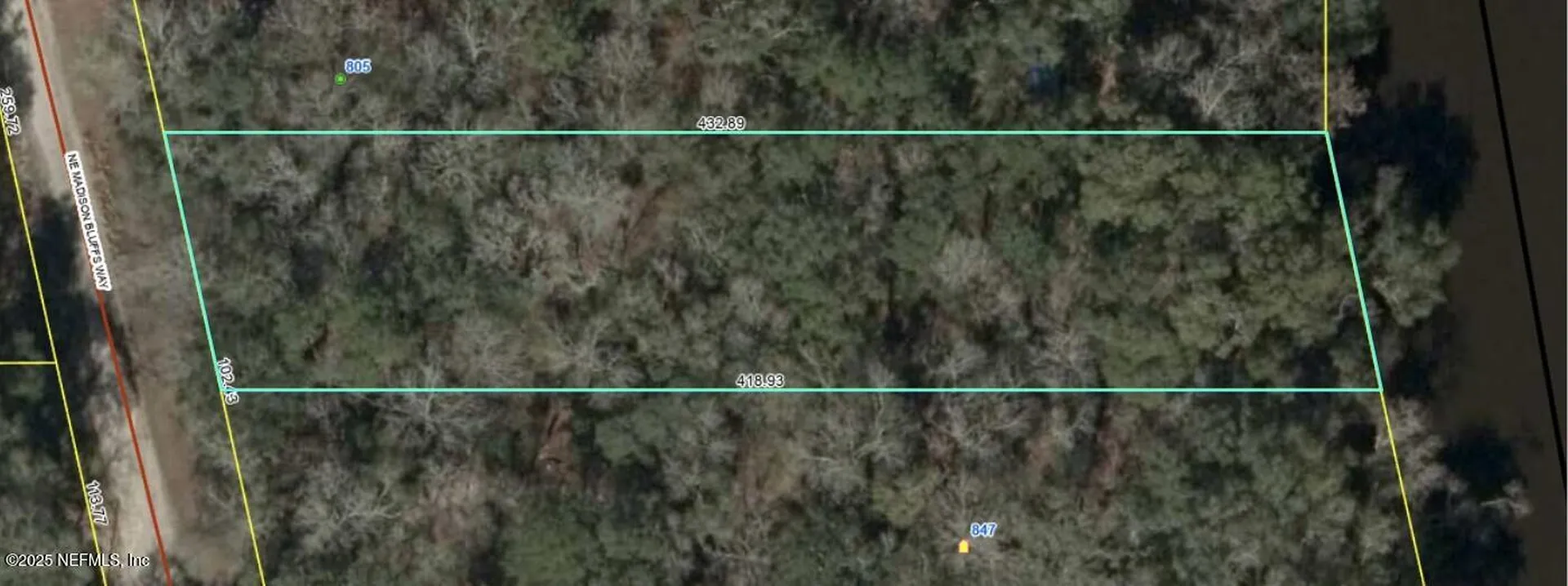 Lot 4 NE Madison Bluffs Way Lee FL 32059