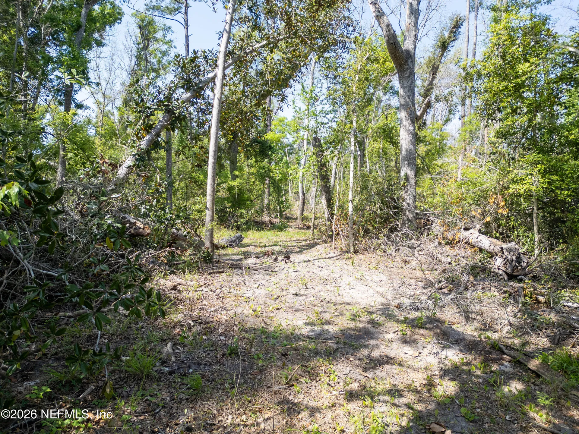 Lot 4 NE Madison Bluffs Way Lee FL 32059