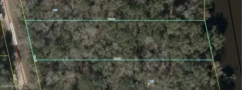 Lot 4 NE Madison Bluffs Way Lee FL 32059