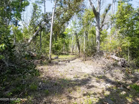 Lot 4 NE Madison Bluffs Way Lee FL 32059
