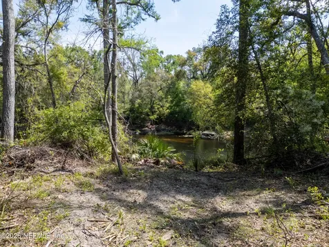 Lot 4 NE Madison Bluffs Way Lee FL 32059