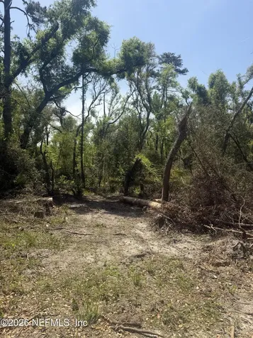 0 SW 77th Terrace Jasper FL 32052