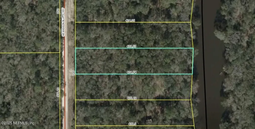 Lot 12 NE Madison Bluffs Way Lee FL 32059