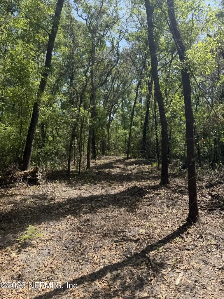 Lot 12 NE Madison Bluffs Way Lee FL 32059
