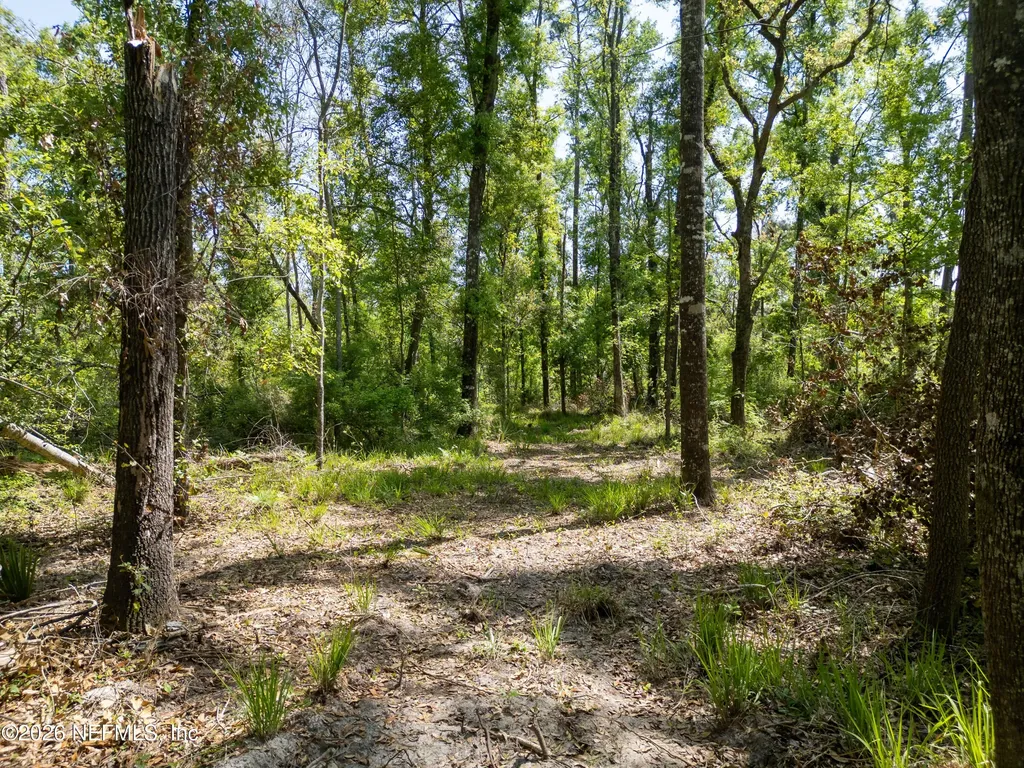 Lot 12 NE Madison Bluffs Way Lee FL 32059
