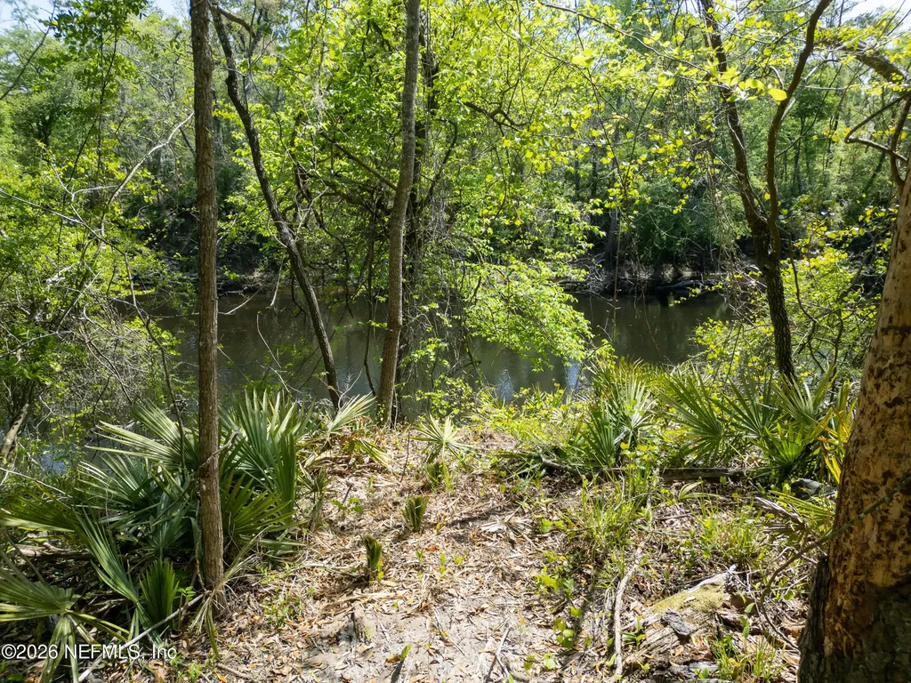 Lot 12 NE Madison Bluffs Way Lee FL 32059