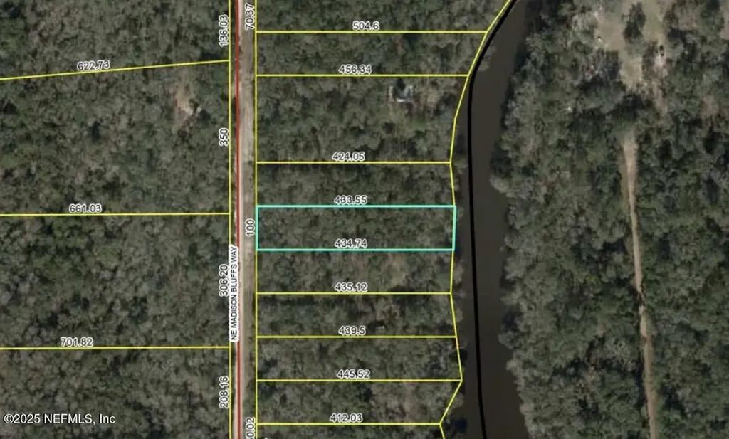 Lot 12 NE Madison Bluffs Way Lee FL 32059