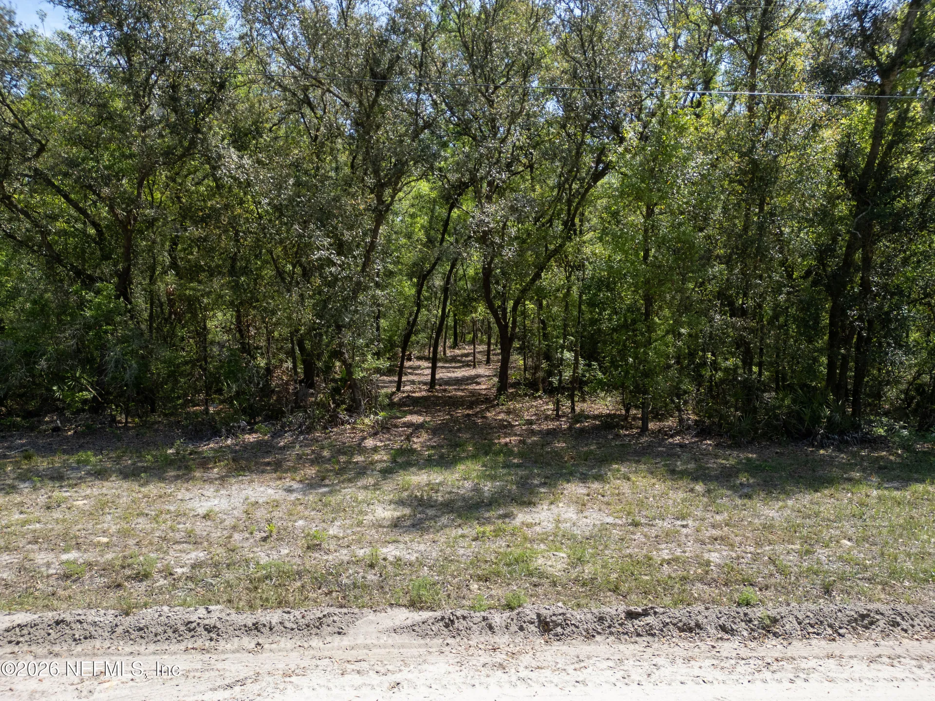 Lot 12 NE Madison Bluffs Way Lee FL 32059