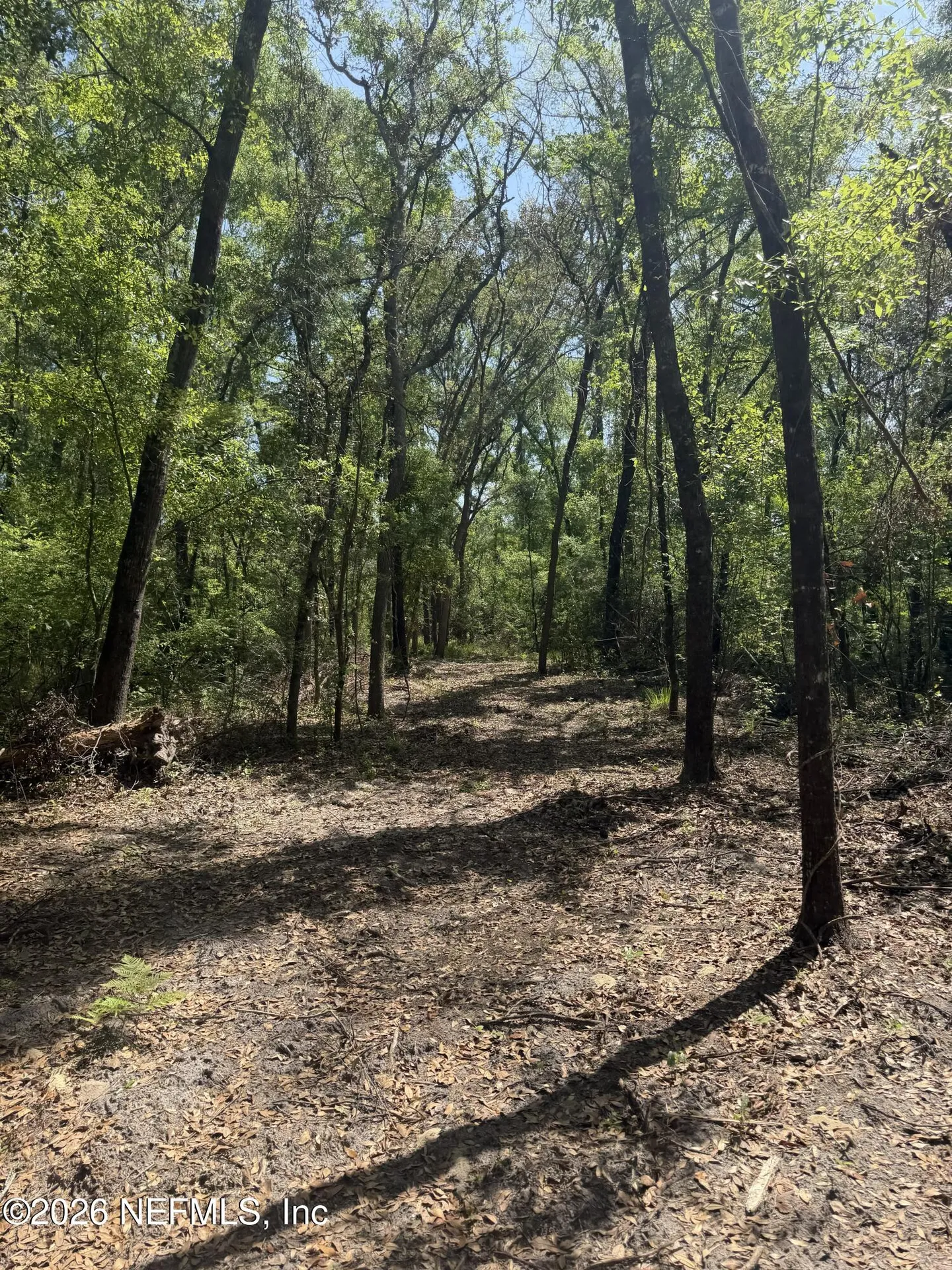 Lot 12 NE Madison Bluffs Way Lee FL 32059