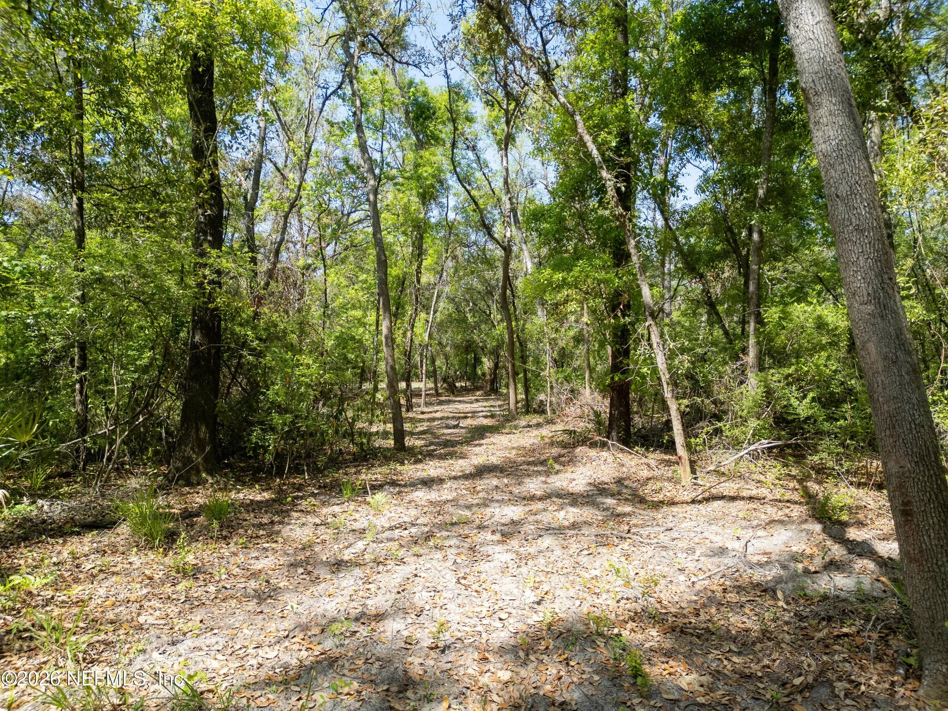 Lot 12 NE Madison Bluffs Way Lee FL 32059